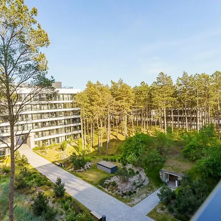 Shellter Design Przy Plazy- *