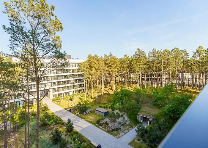 Shellter Design Przy Plazy- *